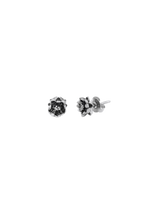 LP Lotus Studs