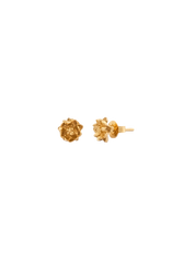 LP Lotus Studs