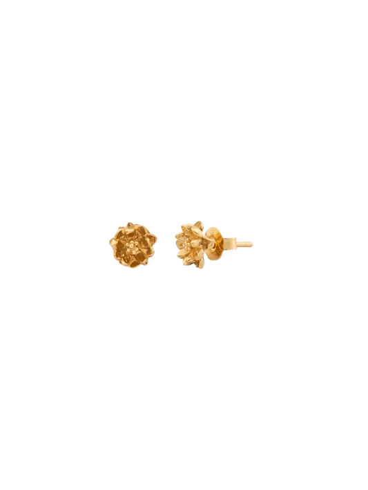 LP Lotus Studs