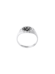 LP Signet