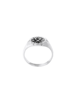LP Signet