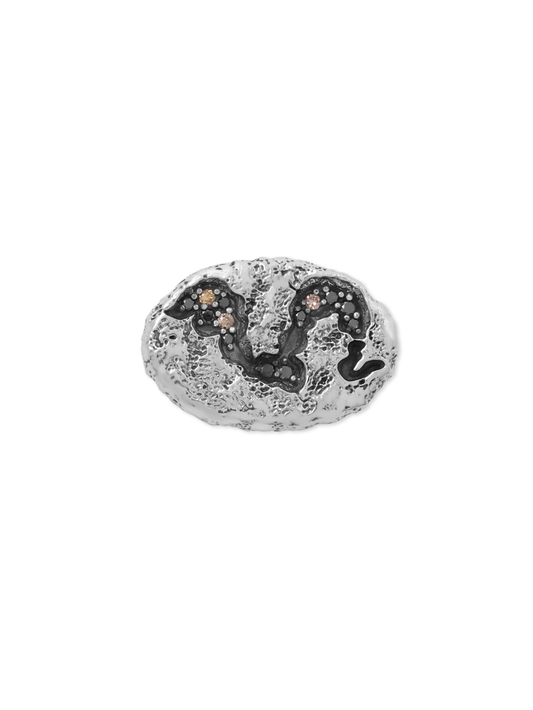 Chasm Brooch