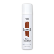 Color Touch-Up Spray