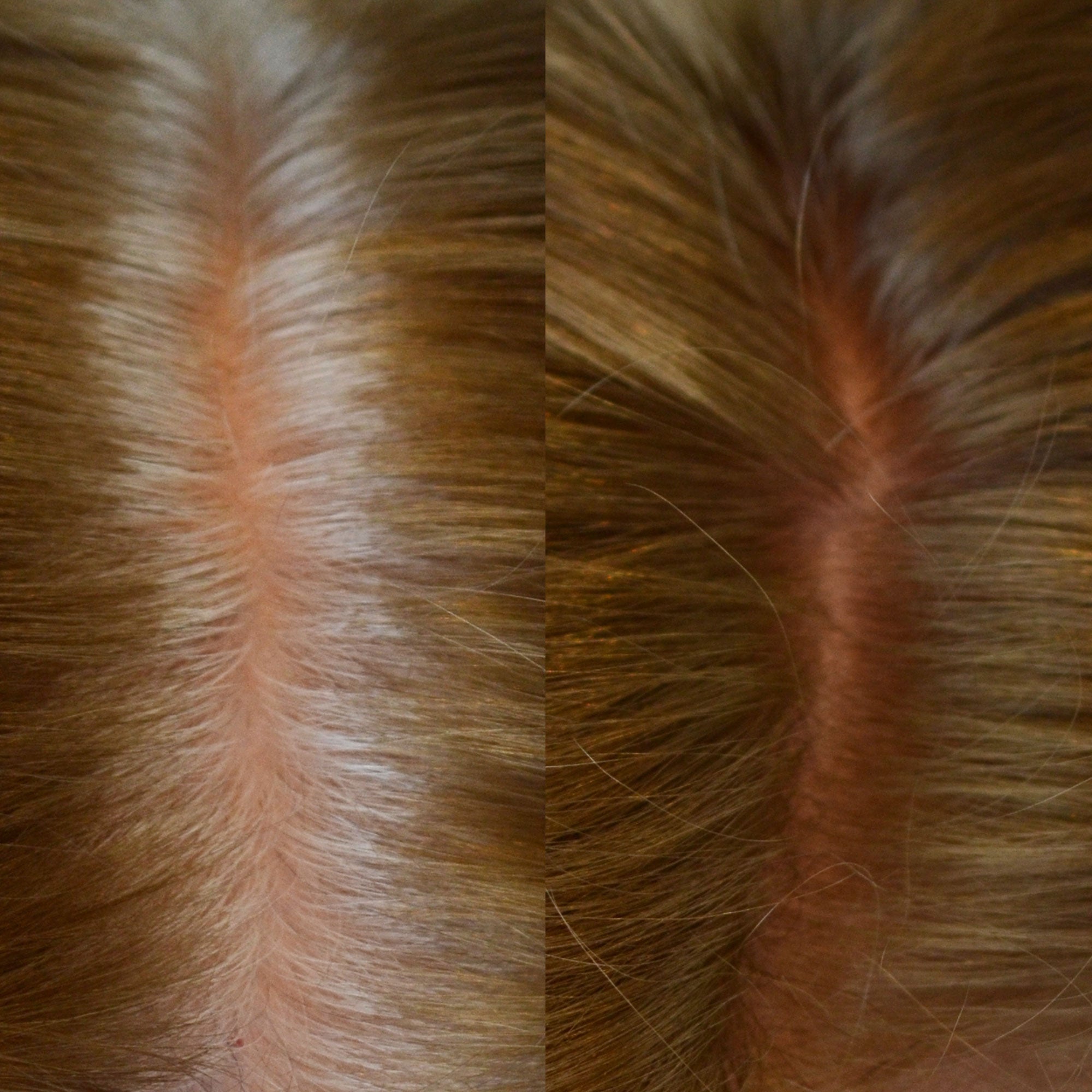 Root Touch-Up Kit