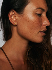 LP Lotus Studs