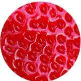 Single-Serve Sachet Bundle - Fruit Lovers